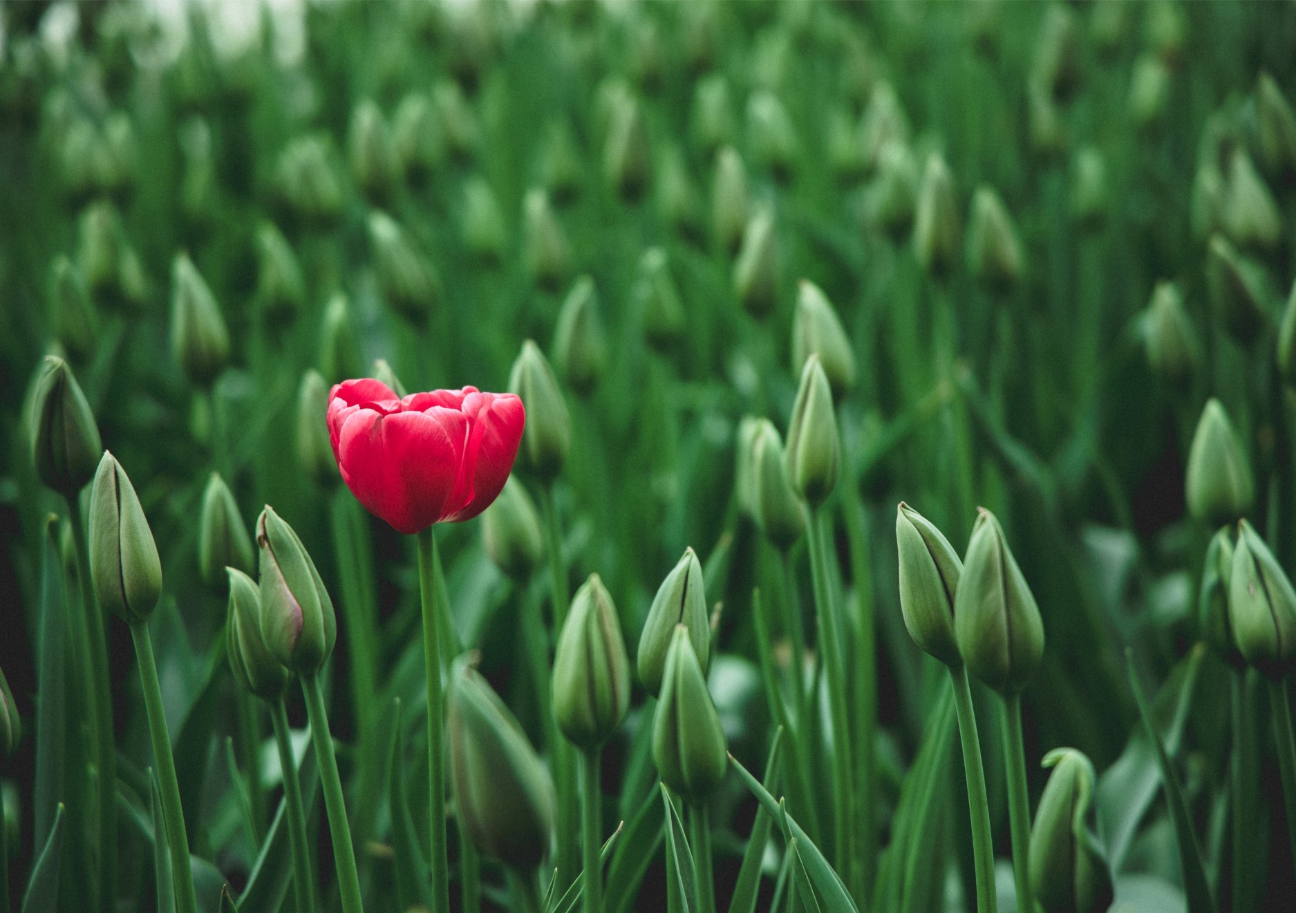 5 Empowering Reasons To Stand Out From The Crowd