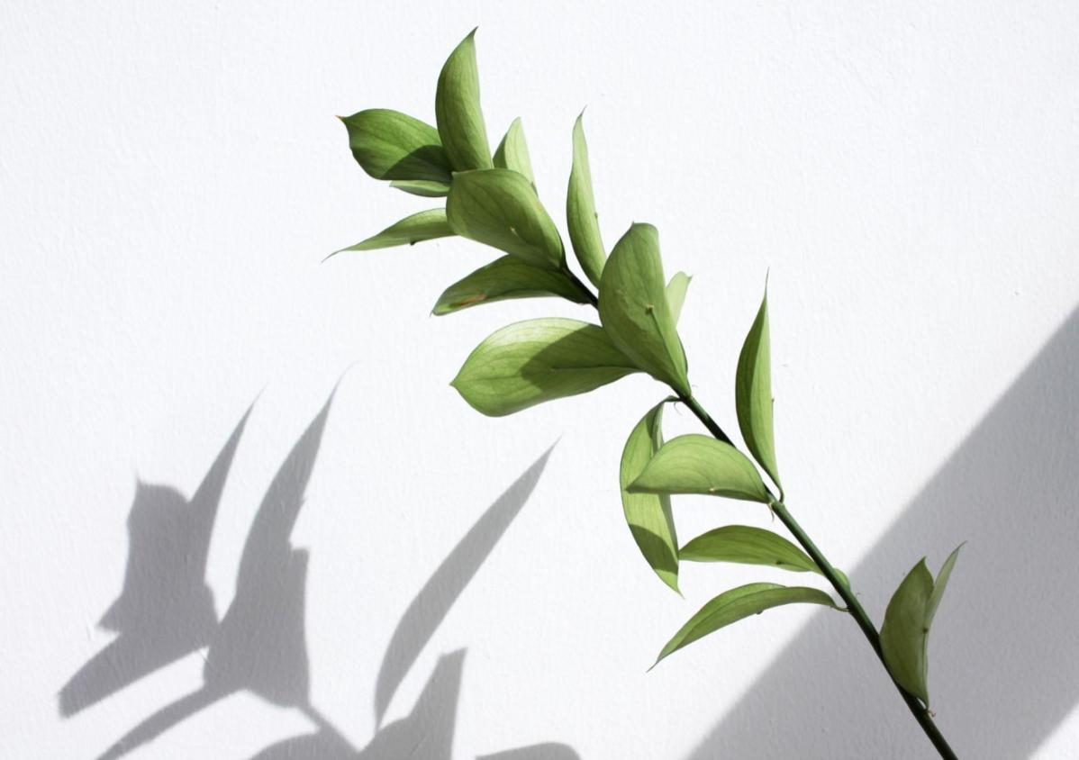 5 Effective Ways To Build Your Self-Esteem